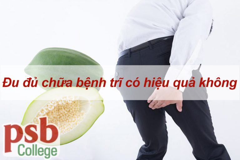 Đu đủ chữa bệnh trĩ