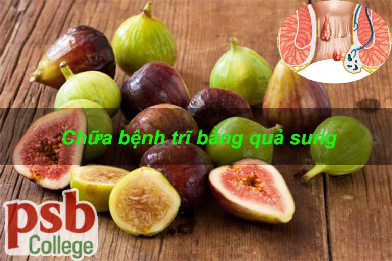 Chữa bệnh trĩ bằng quả sung