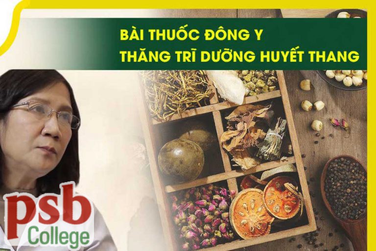 Thăng Trĩ Dưỡng Huyết Thang