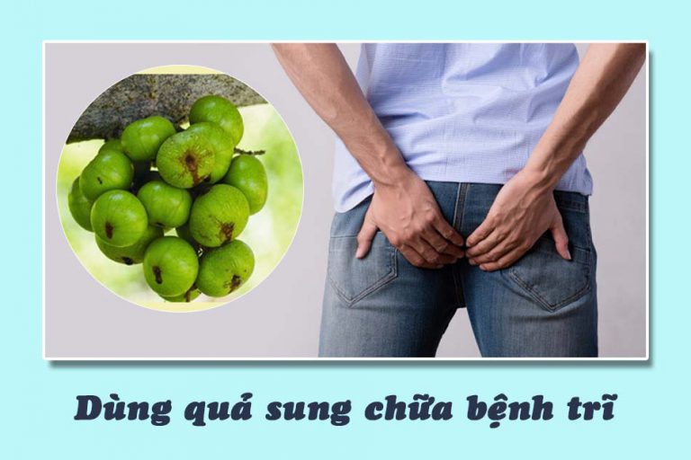 Cách dùng quả sung chữa trĩ