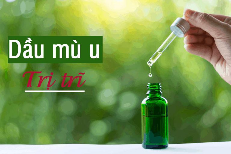 Dầu mù u trị trĩ