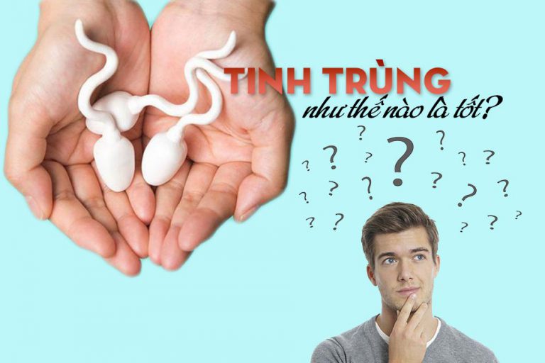 Tinh trùng như thế nào là tốt?