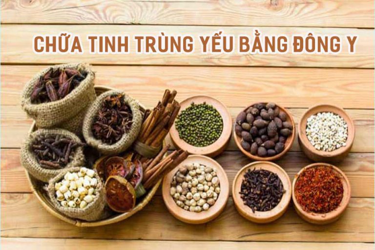 Chữa tinh trùng yếu bằng đông y